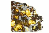 Polished Imilac Pallasite Meteorite ( g) Slice #315419-1